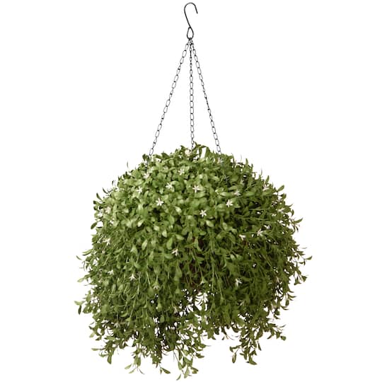 18" Argentea Hanging Basket